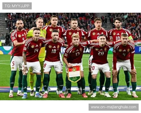 奥地利VS波黑:主场龙迎战客场虫,波黑防守漏洞成隐患 奥地利VS波黑:主场龙迎战客场虫,波黑防守漏洞成隐患